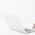 Thumbnail of related posts 146