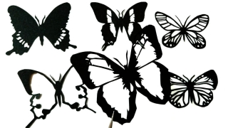 Thumbnail of post image 074