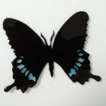 Thumbnail of post image 110