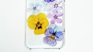 Thumbnail of post image 152