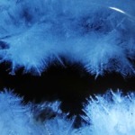 Thumbnail of new posts 046