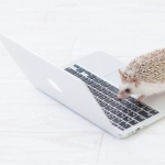 Thumbnail of related posts 135