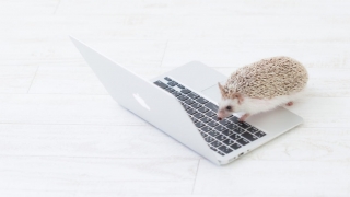 Thumbnail of post image 179