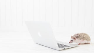 Thumbnail of post image 060