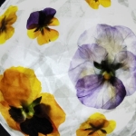 Thumbnail of related posts 186