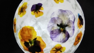 Thumbnail of post image 168