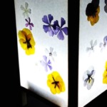 Thumbnail of new posts 078