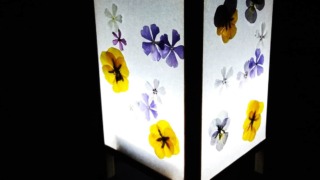 Thumbnail of post image 064